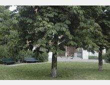 Eine Grünfläche mit Rasen und Bäumen, darunter zwei grüne Parkbänke, im Vordergrund. Im Hintergrund befinden sich der Eingang eines Backsteingebäudes mit Holzportal und einige Personen auf den Stufen davor.