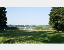 Eine Uferlandschaft mit einem See im Hintergrund, umgeben von Schilf und Bäumen. Im Vordergrund eine Wiese mit vereinzelten Absperrzäunen und Schatten von Bäumen.