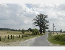 Ländliche Straße, die sich durch eine offene Landschaft mit Feldern, vereinzelten Bäumen und einer Baumreihe entlang der Straße erstreckt. Im Hintergrund sind ein Windmühlen-Silhouette und sanfte Hügel erkennbar, bei bedecktem Himmel.