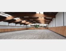 Große Reithalle mit einem Boden aus hellem Reitbelag, Wänden aus Holz und weißen Paneelen. Die Halle hat eine Dachkonstruktion aus Holz mit eingebauten Oberlichtern für natürliche Beleuchtung.