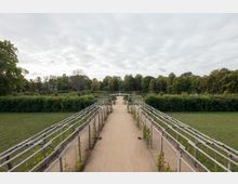 Weitläufige Gartenanlage mit einem unbefestigten Weg, der von hölzernen Rankgerüsten und niedrigen Hecken gesäumt wird, im Hintergrund ein Brunnen und Bäume eines Parks unter bewölktem Himmel.