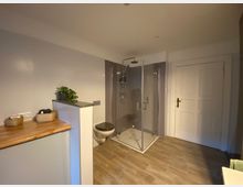 Modernes Badezimmer mit begehbarer, verglaster Dusche, wandmontierter Toilette und Holzboden. Links befindet sich eine kleine Ablage mit Körben und einer Pflanze, dahinter eine weiße Tür mit Messinggriff.