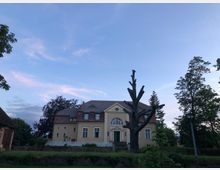 Historisches Gebäude mit gelber Fassade und Satteldach, umgeben von Bäumen und einer Wiese, im Vordergrund ein beschnittener Baum ohne Blätter; der Himmel ist leicht bewölkt in der Abenddämmerung.