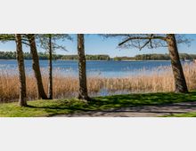 Lakeside park view with a paved path and grassy foreground shaded by tall trees, looking out over reeds along the shoreline. Calm blue water stretches to a distant forested берегline under a clear sky.