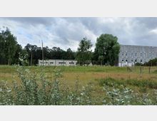 Wiese mit niedriger Vegetation im Vordergrund, dahinter ein flaches Gebäude mit hellen Fassaden und ein mehrstöckiges graues Gebäude mit symmetrisch angeordneten Fenstern. Im Hintergrund sind Bäume und dichter Wald sichtbar, der Himmel ist bewölkt.