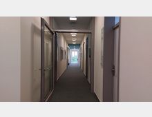 Langer, schmaler Büroflur mit grauem Teppichboden, weißen Wänden und Türen auf beiden Seiten. Am Ende des Flurs sind eine Glas-Doppeltür und ein Blick ins Grüne zu sehen.