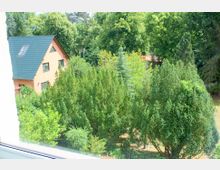 Blick auf einen Garten mit dichtem Grün aus Bäumen und Sträuchern, im Hintergrund ein orangefarbenes Einfamilienhaus mit einem dunkelblauen Satteldach. Umgeben von hoher Vegetation, deutet der Standort auf eine ruhige, ländliche Umgebung hin.