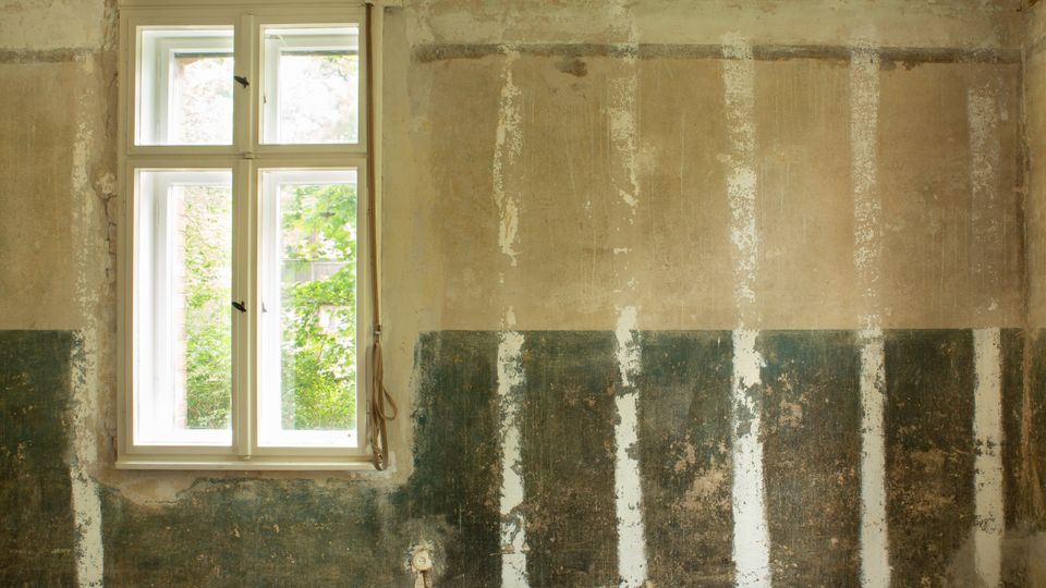 Innenraum eines renovierungsbedürftigen Zimmers mit weiß gerahmtem Doppelfenster, durch das Grün von Bäumen zu sehen ist. Die Wand zeigt abgeblätterten Putz und freiliegende, ungleichmäßige Farbschichten mit vertikalen Streifen und einem sichtbaren Steckdosenanschluss nahe dem Boden.