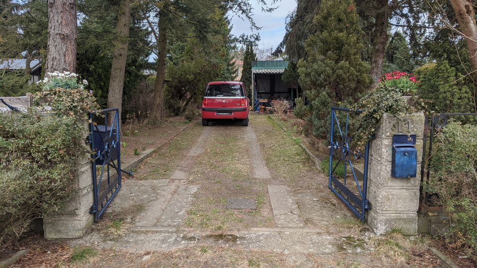 Blick durch ein geöffnetes blaues Metalltor zwischen zwei Betonpfeilern auf eine schmale Einfahrt mit Betonspuren, gesäumt von Bäumen und Sträuchern. Am Ende der Einfahrt steht ein Carport mit grünem Dach, davor ist ein rotes Auto geparkt.