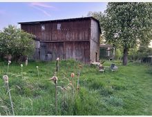 Große, verwitterte Holzscheune mit Wellblechdach in einem ländlichen Garten mit hohem Gras und blühenden Bäumen. Im Vordergrund stehen mehrere Stäbe mit kleinen Skulpturen, rechts neben einem großen Baum sind Gartenstühle auf der Wiese aufgestellt.