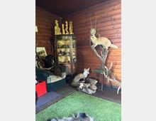 Holzgetäfelter Innenraum mit dunkler Holzvertäfelung, einer Glasvitrine mit Dekorfiguren und einem Sofa. Im Raum stehen mehrere ausgestopfte Tiere auf Sockeln sowie ein grüner Teppich auf dem Holzboden.