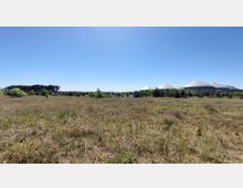 Eine offene Wiesenlandschaft mit einzelnen Büschen und kleinen Bäumen. Im Hintergrund befinden sich mehrere große, kuppelförmige Gebäude, vermutlich Teil einer landwirtschaftlichen oder industriellen Anlage, und am Horizont sind Bäume und Masten zu sehen.