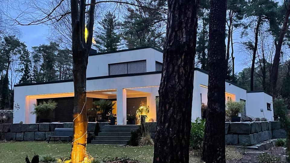 Modernes, flaches Wohnhaus mit weißer Fassade und großen, warm beleuchteten Fenster- und Terrassenöffnungen, umgeben von einem Waldgrundstück. Im Vordergrund stehen hohe Bäume auf einer Rasenfläche; eine kurze Treppe führt zur überdachten Terrasse, daneben eine niedrige Steinmauer und Gartenbepflanzung.