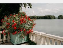 Terrasse oder Uferpromenade mit weißer Steinbalustrade und einer großen mintgrünen Pflanzkiste voller roter Blüten im Vordergrund. Dahinter erstreckt sich ein ruhiger See mit bewaldetem Ufer unter einem bewölkten Himmel.