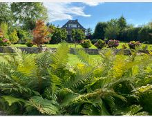 Ein gepflegter Garten mit Farnen im Vordergrund, einer Rasenfläche, bunten Hortensiensträuchern und niedrigen Steinmauern; im Hintergrund steht ein großes Haus umgeben von dichtem Grün.