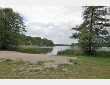 Sandstrand an einem ruhigen See, umgeben von Bäumen und Schilf. Im Hintergrund sind ein bewaldetes Ufer und ein bedeckter Himmel zu sehen.