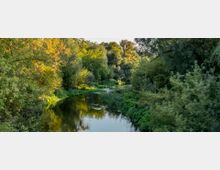Flusslandschaft mit dichtem Baumbewuchs an beiden Ufern, grünem Unterholz und ruhigem Wasserlauf, umgeben von sommerlicher Vegetation im warmen Licht.