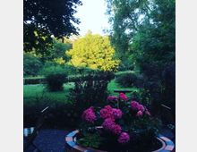 Ein Garten mit dichter Vegetation, im Vordergrund ein runder Blumentopf mit rosa Hortensien, umgeben von einer Terrasse mit Stühlen. Im Hintergrund ist eine grüne Wiese und eine Baumreihe zu sehen, beleuchtet vom Sonnenlicht.