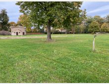 Eine weitläufige Wiese mit einem großen Baum in der Mitte, an dem eine Schaukel hängt. Im Hintergrund ist ein kleines Gebäude aus hellen Ziegelsteinen sowie weitere Bäume und eine Holzlattenzaun zu sehen.