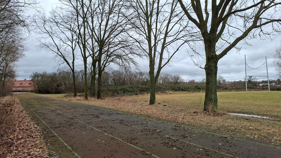 Asphaltierter Weg entlang einer offenen Wiese mit kahlen Bäumen und Laub am Boden. Rechts steht ein hohes Sportnetz, im Hintergrund sind Büsche und ein Gebäude mit rotem Dach unter grauem Himmel zu sehen.