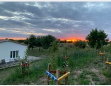 Eine ländliche Szene mit einem einfachen weißen Gebäude links, umgeben von einer Wiese mit kleinen Bäumen, die mit bunten Bändern markiert sind. Im Hintergrund ist ein Sonnenuntergang mit leuchtenden Farben am Himmel sowie vereinzelten großen Bäumen zu sehen.