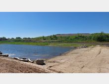 Ein kleiner See mit sandigem Ufer im Vordergrund, umgeben von grasbewachsenen Hügeln und vereinzelten Bäumen. Der Himmel ist klar und blau, und es sind Holzstämme sowie Steine am Strand verteilt.