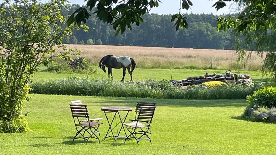 Gepflegter Garten mit Rasenfläche, zwei Klappstühlen und kleinem Bistrotisch im Vordergrund, umrahmt von überhängenden Baumzweigen. Dahinter liegen eine Wiese und Felder vor einem Waldrand, mit einem Tier auf der Weide und einem kleinen Stapel Holz oder Steinen rechts.