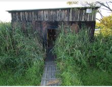 Holzhütte inmitten dichter Vegetation mit hohem Gras und Schilf, einer schmalen Holzplanke als Zugang und einer kleinen offenen Tür in der Mitte der Hütte. Die Umgebung wirkt naturbelassen mit Bäumen im Hintergrund.
