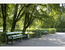 Grüne Parkbänke stehen auf einem gepflasterten Weg unter großen, schattenspendenden Bäumen. Im Hintergrund sind Büsche und eine alte Laterne zu sehen.