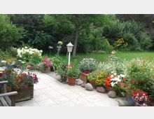 Ein gepflegter Garten mit einer gefliesten Terrasse, die von zahlreichen Blumentöpfen in verschiedenen Farben und Sorten gesäumt ist. Im Hintergrund befinden sich eine grüne Rasenfläche, Büsche und ein Baum, der von dichtem Grün umgeben ist.