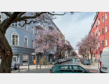 Straßenszene mit pastellfarbenen Wohnhäusern, links in hellblau und rechts in rot, flankiert von blühenden Bäumen mit rosa Blüten; geparkte Autos säumen die Straße, und einzelne Passanten sind zu sehen.