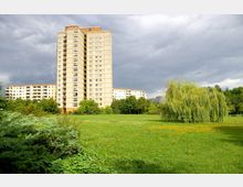 Hochhaus in heller Plattenbauweise vor bewölktem Himmel, umgeben von Grünflächen, Bäumen und einer großen Trauerweide im Vordergrund. Links und rechts sind weitere Wohngebäude und dichtes Grün zu sehen.