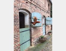 Backstein-Gebäude mit türkisfarbenen Holztüren und Klappläden in einem rustikalen Stil. Im Vordergrund springt ein rotes Eichhörnchen von einem Fensterladen, umgeben von Natur und Kopfsteinpflaster.