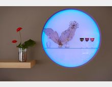 Rundes, beleuchtetes Wandregal mit blauer LED-Hintergrundbeleuchtung, dekoriert mit getrockneten Pflanzen, kleinen Glasflaschen und bunten Weingläsern; daneben ein hölzernes Regal mit einer Vase, die eine rote Blume und grüne Blätter enthält.