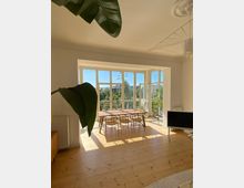 Bright, minimalist living-dining room with light wood floors and a large bay of floor-to-ceiling windows opening to a small balcony overlooking trees and nearby buildings. A wooden dining table with chairs sits in the sunlit window area, with a TV on a low stand and large indoor plant leaves visible in the foreground.