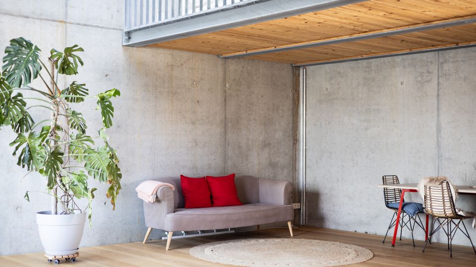 Modernes Wohnzimmer mit Sichtbetonwänden, einem Holzboden und einer Decke aus Holzlatten. Im Raum stehen ein graues Sofa mit roten Kissen, ein großer Topfpflanze sowie ein Essbereich mit Tisch und geflochtenen Stühlen.