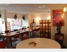 Heller Innenraum eines Cafés mit Holztischen und -stühlen, großen Fensterfronten, hängenden Blumenarrangements und Sicht auf die Straße. Im Hintergrund befinden sich eine dekorative Wand mit Glasblöcken, ein Kaktus und bunte Wanddekorationen.