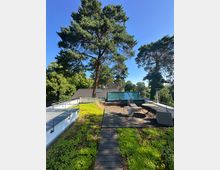 Dachterrasse mit begrüntem Flachdach, Holzsteg und Sitzbereich aus Tisch und Stühlen neben einer niedrigen Glasaufbauten. Im Hintergrund ragen hohe Kiefern über ein Wohnhausdach, umgeben von dichtem Grün unter blauem Himmel.