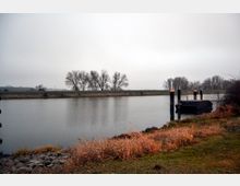 Eine ruhige Flusslandschaft mit einem Anlegesteg auf der rechten Seite, von mehreren Pfeilern gestützt. Im Hintergrund sind kahle Bäume und eine grasbewachsene Uferlinie sichtbar, während im Vordergrund Gras und Steine das Ufer säumen.