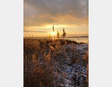 Schneebedeckte Wiese mit hohen, goldenen Gräsern im Vordergrund, durch die die untergehende Sonne hindurchscheint; im Hintergrund ein ruhiger See und ein wolkenbedeckter Himmel in warmen Gelb- und Orangetönen.