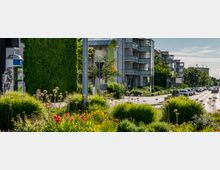 Straßenszene in einer Wohngegend mit modernen Wohngebäuden aus Glas und Beton, einer begrünten Fassade und Blumengärten im Vordergrund. Entlang der Straße parken Autos, während der Bereich von Bäumen und grüner Vegetation umgeben ist.