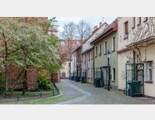 Schmale gepflasterte Gasse mit niedrigen Wohngebäuden auf der rechten Seite und einer Backsteinfassade mit blühendem Baum auf der linken Seite. Laternen und Mülltonnen säumen den Weg, im Hintergrund sind weitere Gebäude und blattlose Bäume sichtbar.