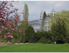 Großes Gewächshaus aus Glas und Metall inmitten eines Parks mit grüner Wiese, blühenden Bäumen und Sträuchern; im Vordergrund ein blühender Kirschbaum.