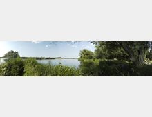 Weitläufige Flusslandschaft mit ruhigem Wasser, umgeben von dichtem Gras, Schilf und üppigen Bäumen am Ufer. Der Himmel ist klar mit wenigen Wolken, und im Hintergrund sind weitere Bäume und Wiesen zu sehen.