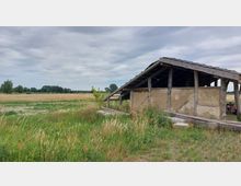 Eine ländliche Szene mit einer alten, teils offenen Scheune aus Holz und Lehm, die von hohen Gräsern und Wildpflanzen umgeben ist. Im Hintergrund sind weitläufige Felder und einige Bäume unter einem bewölkten Himmel zu sehen.
