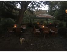 Ein Biergarten im Freien mit Holztischen, Bänken und Stühlen, teils überdacht mit einem Sonnenschirm mit der Aufschrift „Benediktiner Weissbier“. Im Hintergrund Bäume und Grünflächen, auf dem Boden liegen Herbstblätter, und ein kleiner Hund läuft durch den Vordergrund.