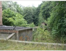 Verlassene Beton- und Ziegelgebäude, teilweise mit Graffiti, umgeben von dichtem Wald und überwucherter Vegetation. Ein flaches Betongebäude ist im Vordergrund sichtbar, während im Hintergrund weitere Strukturen zu erkennen sind.