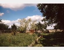 Ein ländlicher Garten mit einer Wiese voller Wildblumen, umgeben von Bäumen und einem niedrigen Holzzaun. Im Hintergrund steht ein großer Baum neben einem Bienenkorb, und vereinzelt sind Sitzmöglichkeiten sowie landwirtschaftliche Elemente zu sehen.