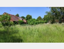 Überwuchertes Gelände mit hohen Gräsern im Vordergrund, dahinter ein altes Gebäude mit rotem Ziegeldach teilweise von Bäumen und Sträuchern verdeckt. Der Himmel ist klar und blau, und links oben fliegt ein einzelner Vogel.