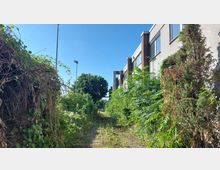 Ein schmaler, stark überwucherter Weg neben einem modernen Gebäude mit weißen Wänden und großen Fenstern. Auf der linken Seite sind dichte Sträucher und Kletterpflanzen, während auf der rechten Seite ein Baum und weitere Vegetation zu sehen sind.